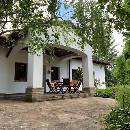 Villa Bivaly Tanya à Domaszék Extérieur photo